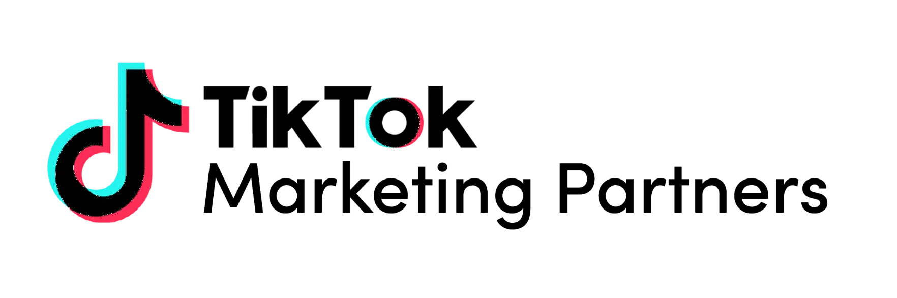 TikTok Marketing Partner